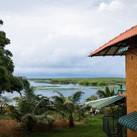 Bundala Flamingo Cotteges Hotel Hambantota Buitenkant foto