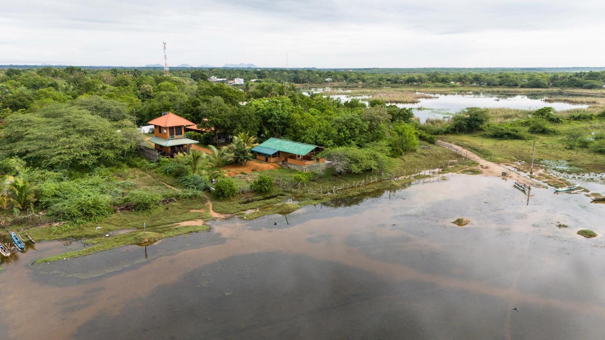 Bundala Flamingo Cotteges Hotel Hambantota Buitenkant foto